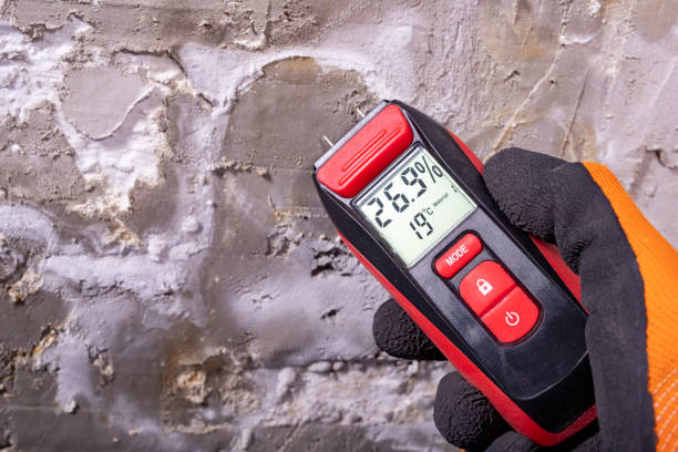 Best Mold Remediation Services  in Johnstonville, CA