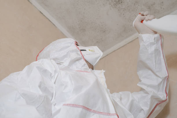 Best Affordable Mold Removal  in Johnstonville, CA